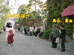 10290041a.jpg