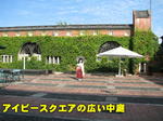 20061009_53a.jpg