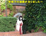 20061009_56a.jpg
