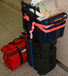 2006kiguhare002.jpg
