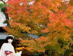 2007_1125_155558.JPG