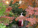 2007_1125_161540.JPG