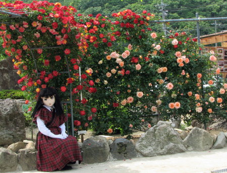2009_0519_134827AAa.jpg