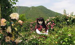 2009_0519_141049AAa.jpg