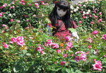 2009_0519_142251AAa.jpg