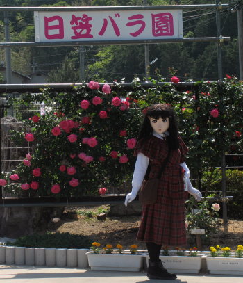 2009_0519_142929AAa.jpg
