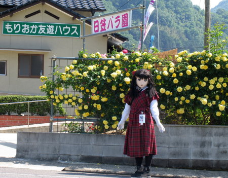 2009_0519_143303AAa.jpg