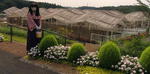 2009_0823_125114A.jpg