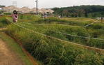 2009_0823_130850A.jpg