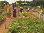 2009_0823_131118A.jpg