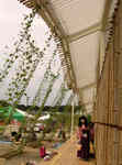 2009_0823_131622A.jpg