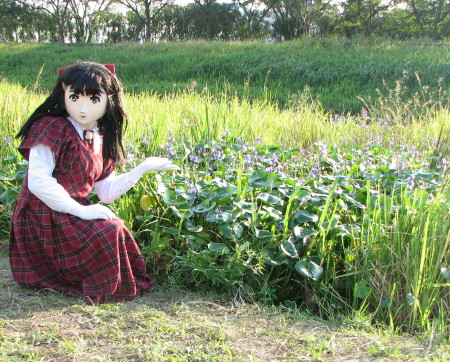 2009_0918_162102A_1.jpg