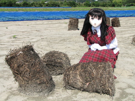 2009_1011_105244AA_1.jpg