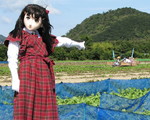 2009_1011_111642AAa_1.jpg