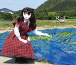 2009_1011_111702AAa_1.jpg