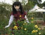 2009_1011_155010AAa_1.jpg