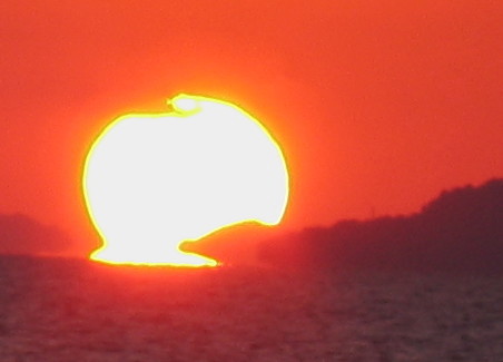 20100103_09b.jpg