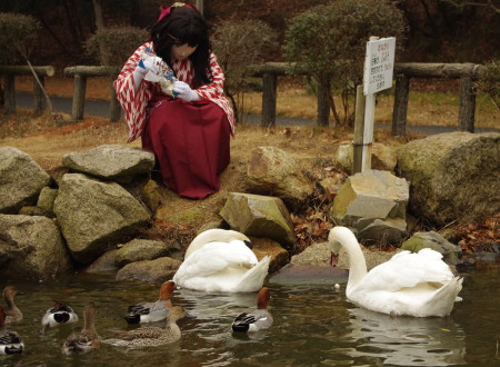 2010_0210_135405A.jpg