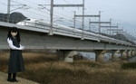 2010_0225_142904ADa.jpg