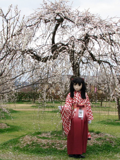 2010_0308_135206AAa.jpg