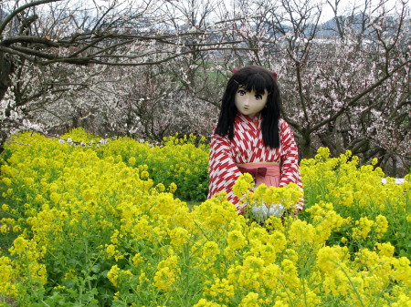 2010_0308_142302AAa.jpg