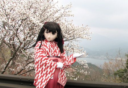 2010_0320_095733AAa.jpg