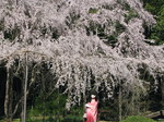 2010_0326_142920AAa.jpg