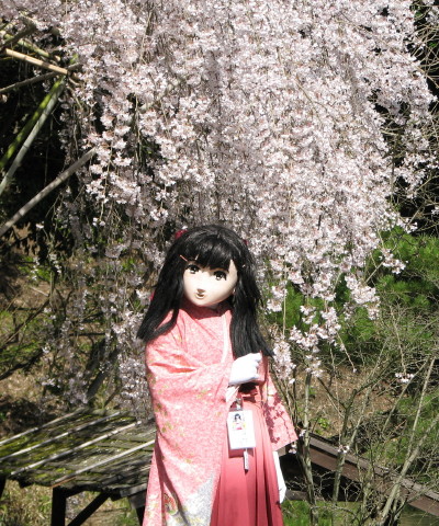 2010_0326_143259AAa.jpg
