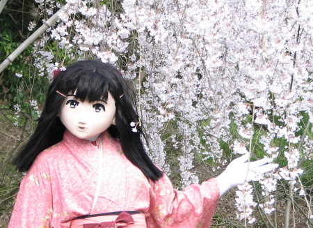 2010_0326_151226AAa.jpg