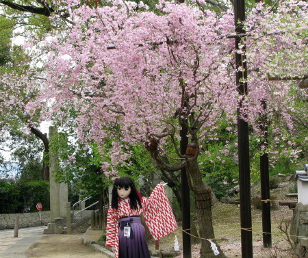 2010_0414_160227AAa.jpg