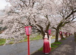 2010_0417_060138AAa.jpg