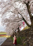 2010_0417_060429AAa.jpg