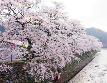 2010_0417_060929AAa.jpg