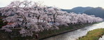 2010_0417_061025AAa.jpg