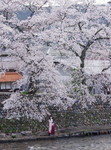 2010_0417_061341AAa.jpg