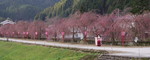 2010_0417_064805AAa.jpg
