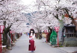 2010_0417_070407AAa.jpg