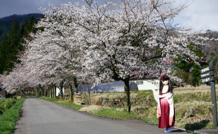 2010_0417_080608AAa.jpg