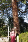 2010_0417_160515AAa.jpg