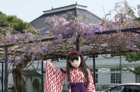 2010_0428_153523AAa.jpg