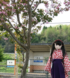 2010_0428_162315AAa.jpg