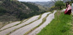 2010_0430_121932AAa.jpg