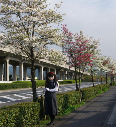 2010_0430_162906AAa.jpg