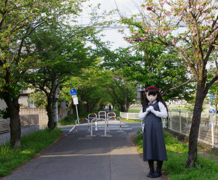 2010_0430_163724AAa.jpg