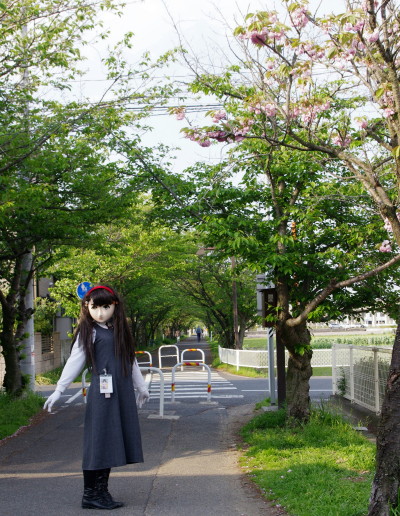 2010_0430_163732AAa.jpg