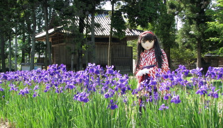 2010_0517_145006AAa.jpg