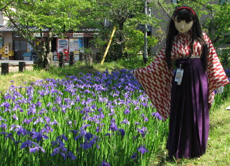 2010_0517_150149AAa.jpg