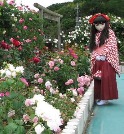 2010_0527_133039AAa.jpg
