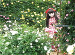 2010_0527_133358AAa.jpg