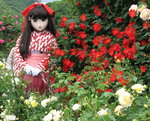 2010_0527_135715AAa.jpg